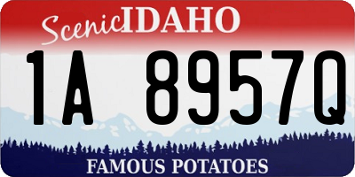 ID license plate 1A8957Q