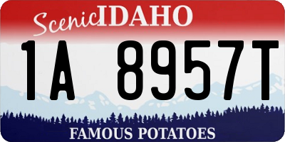 ID license plate 1A8957T