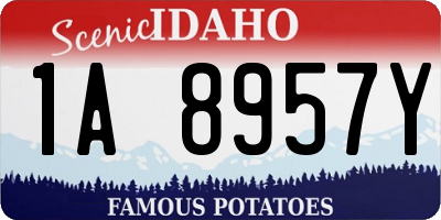 ID license plate 1A8957Y