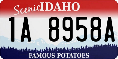 ID license plate 1A8958A
