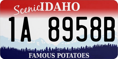 ID license plate 1A8958B