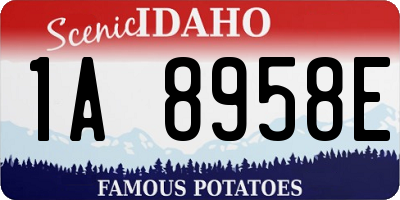 ID license plate 1A8958E