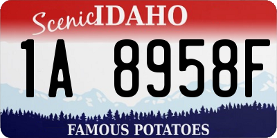 ID license plate 1A8958F