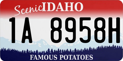 ID license plate 1A8958H