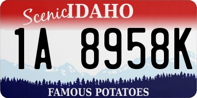ID license plate 1A8958K