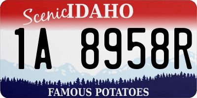 ID license plate 1A8958R