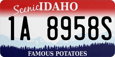ID license plate 1A8958S