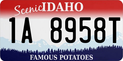 ID license plate 1A8958T