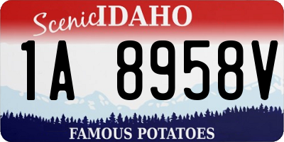 ID license plate 1A8958V
