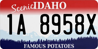 ID license plate 1A8958X