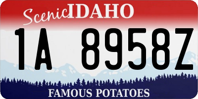 ID license plate 1A8958Z