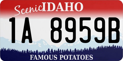 ID license plate 1A8959B