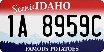 ID license plate 1A8959C