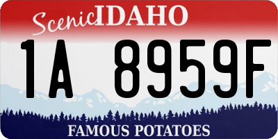 ID license plate 1A8959F