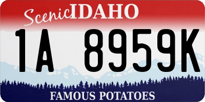 ID license plate 1A8959K