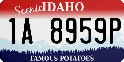 ID license plate 1A8959P