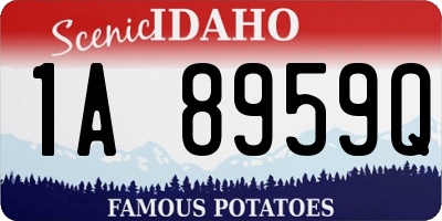 ID license plate 1A8959Q
