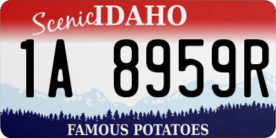 ID license plate 1A8959R
