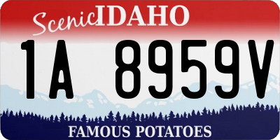 ID license plate 1A8959V