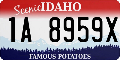 ID license plate 1A8959X