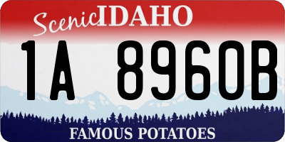 ID license plate 1A8960B