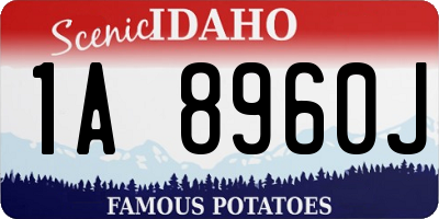 ID license plate 1A8960J