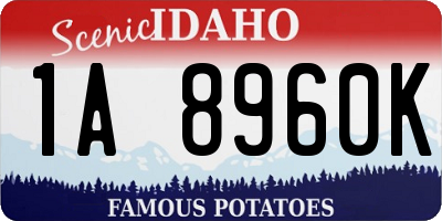 ID license plate 1A8960K