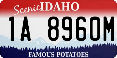 ID license plate 1A8960M