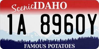 ID license plate 1A8960Y