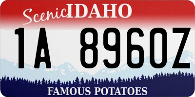 ID license plate 1A8960Z