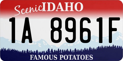 ID license plate 1A8961F