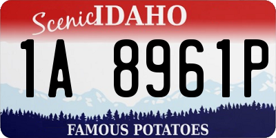 ID license plate 1A8961P