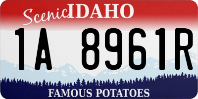 ID license plate 1A8961R