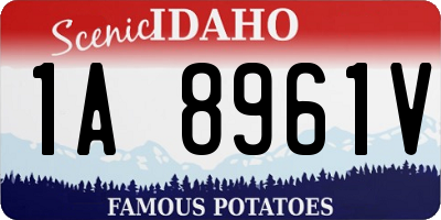 ID license plate 1A8961V