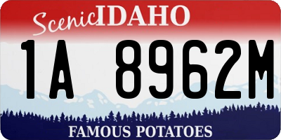 ID license plate 1A8962M