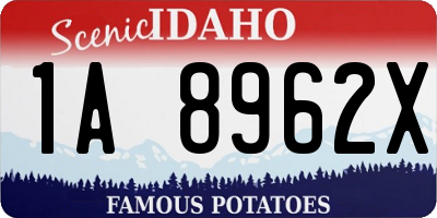 ID license plate 1A8962X