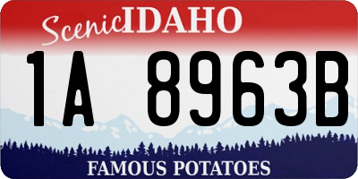 ID license plate 1A8963B