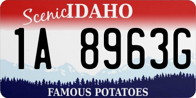 ID license plate 1A8963G