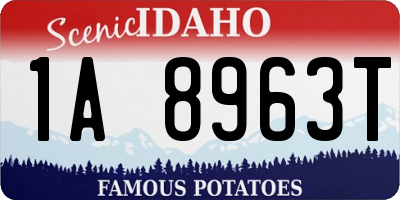 ID license plate 1A8963T