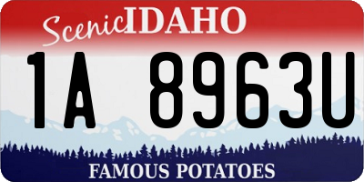 ID license plate 1A8963U