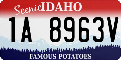 ID license plate 1A8963V