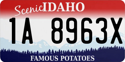 ID license plate 1A8963X