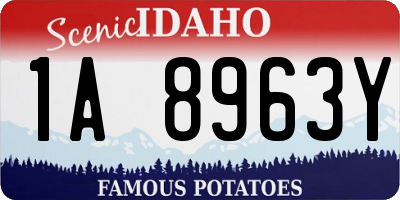 ID license plate 1A8963Y