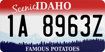 ID license plate 1A8963Z