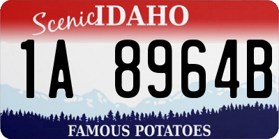 ID license plate 1A8964B