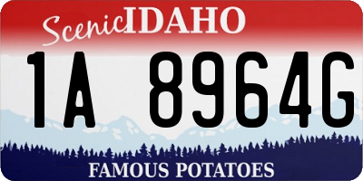ID license plate 1A8964G
