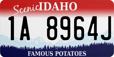 ID license plate 1A8964J