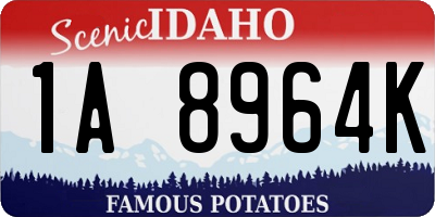 ID license plate 1A8964K