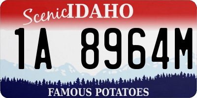 ID license plate 1A8964M