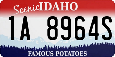ID license plate 1A8964S